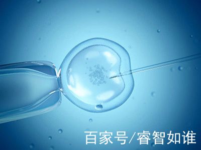 同性供卵代怀服务怎么收费生殖医学中心